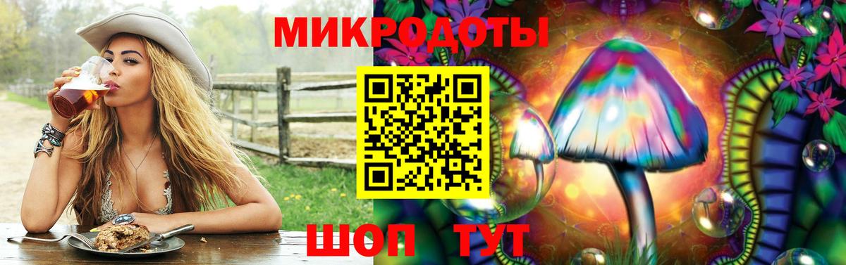 Псилоцибиновые грибы мицелий Красноперекопск