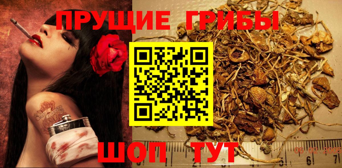 Псилоцибиновые грибы Psilocybine cubensis  наркошоп  Красноперекопск  Вход с VPN 